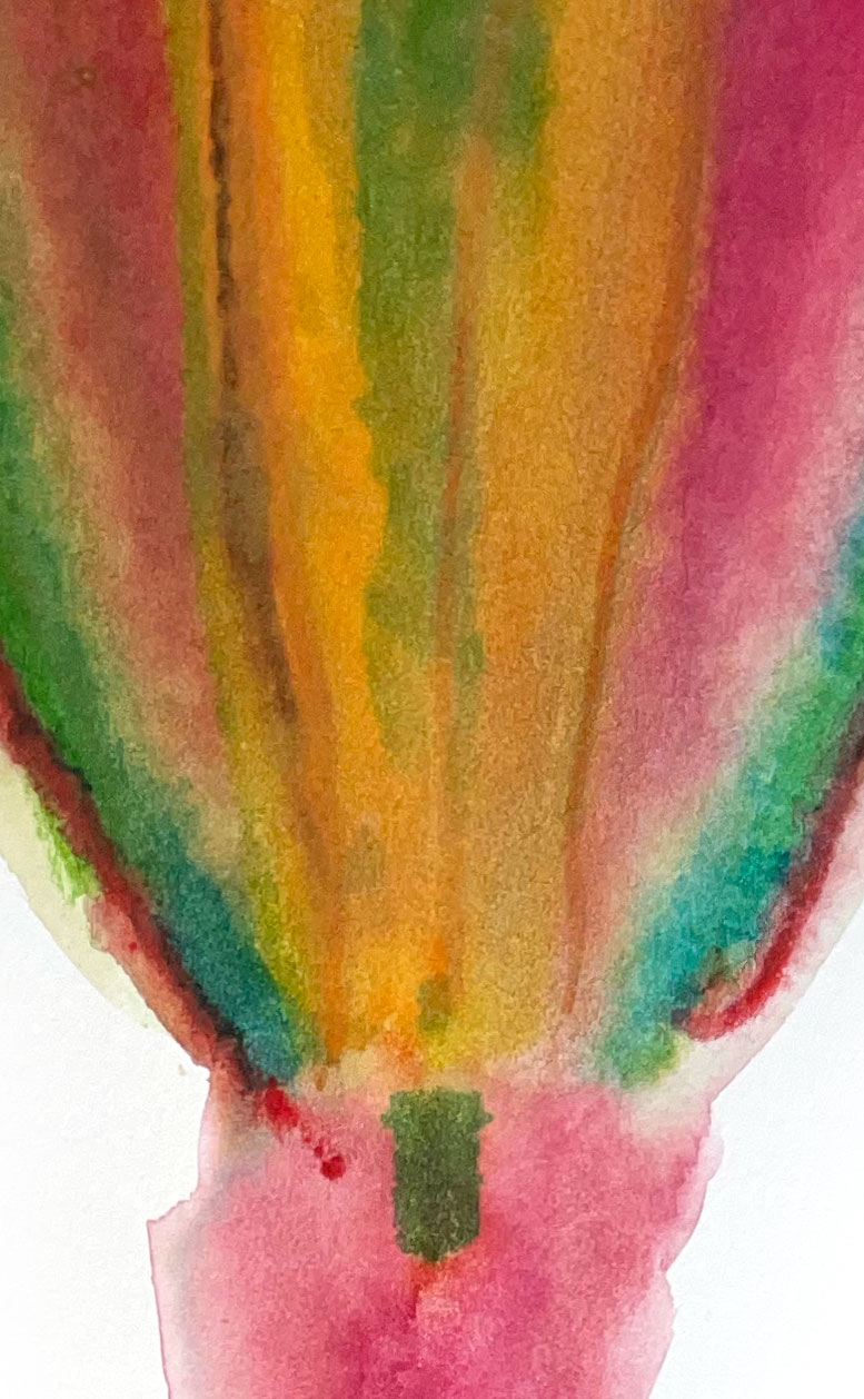 AMERICAN WATERCOLOR LE MAT 02