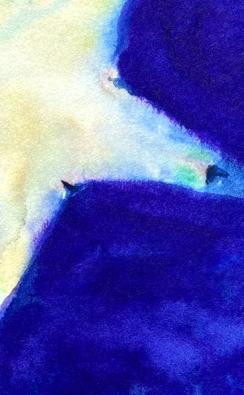 Star 05 American Watercolor