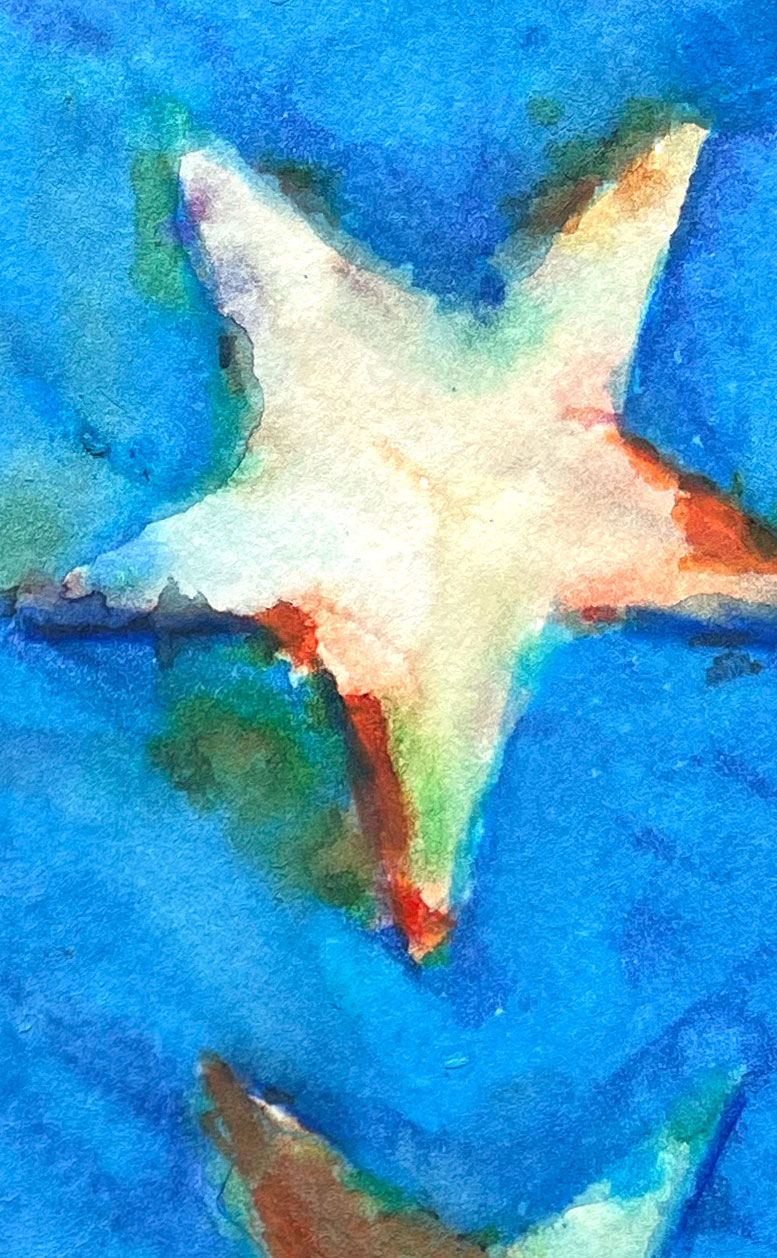 Star 06 American Watercolor