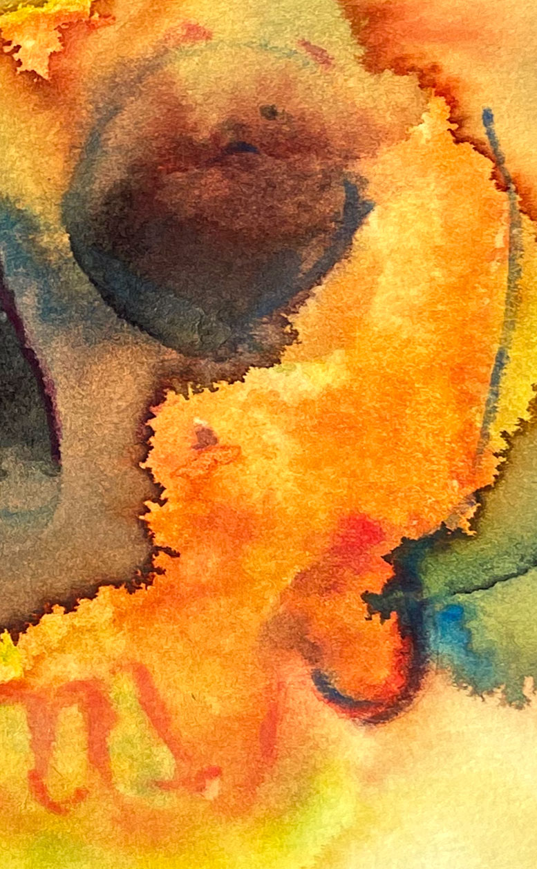 US Citizen 17 American Watercolor