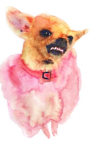 Selfie 01 American Watercolor