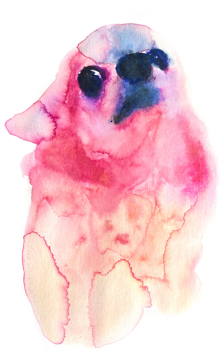 Selfie 03 American Watercolor