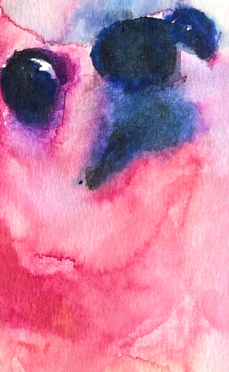 Selfie 03 American Watercolor