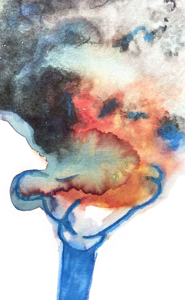 THE END 08 American Watercolor