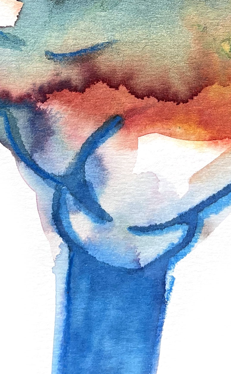 THE END 08 American Watercolor