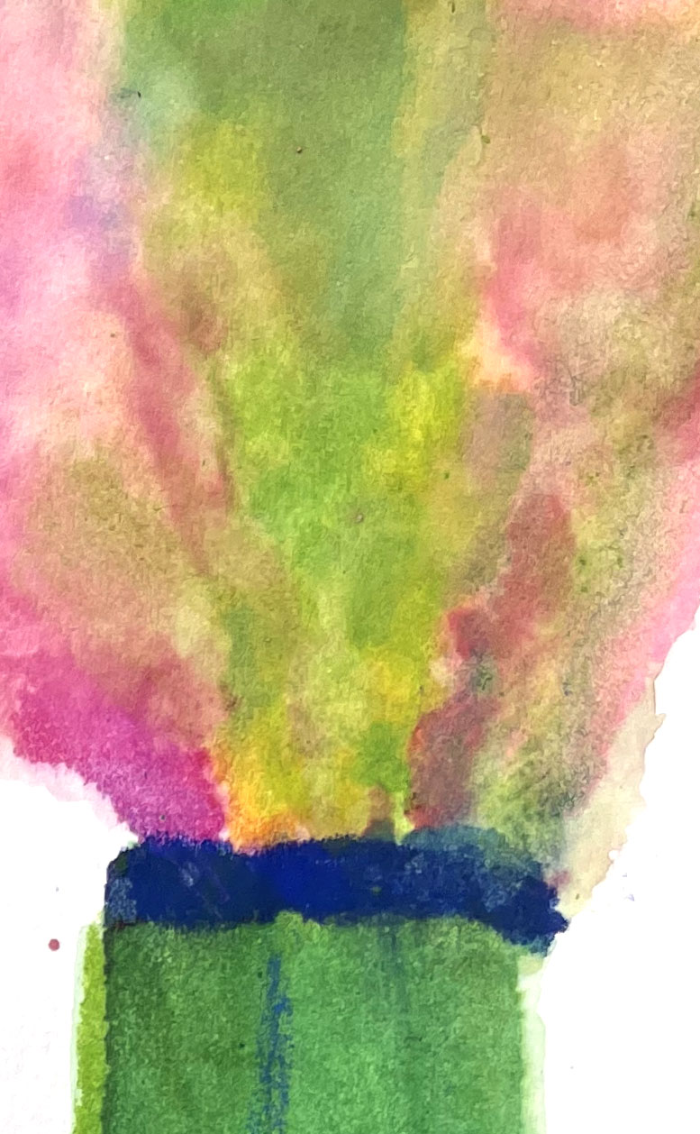 AMERICAN WATERCOLOR LE MAT 12