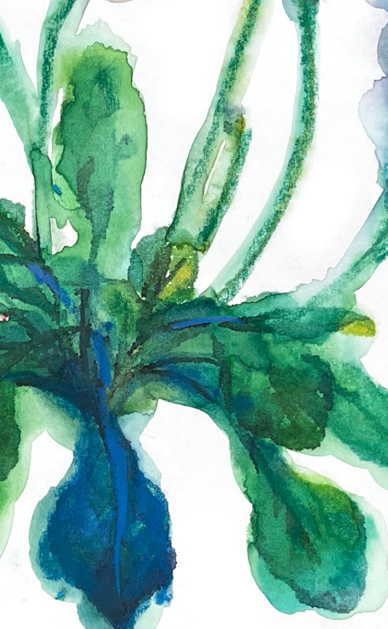 the-tower-04-american-watercolor-5